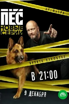 Постер Пёс (все сезоны)